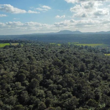 Magnifica Villa Tranquila En El Centro De Mallorca Biniali  Buitenkant foto