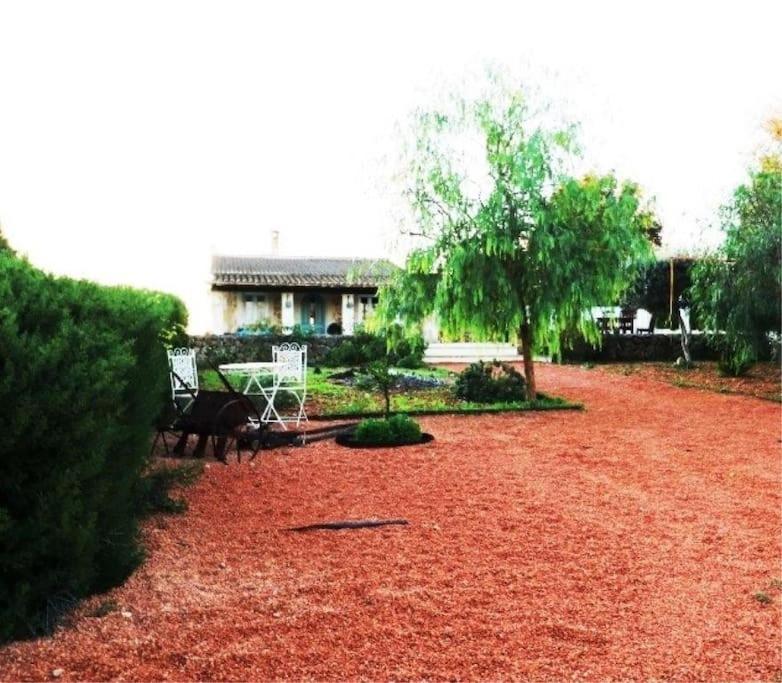 Magnifica Villa Tranquila En El Centro De Mallorca Biniali  Buitenkant foto