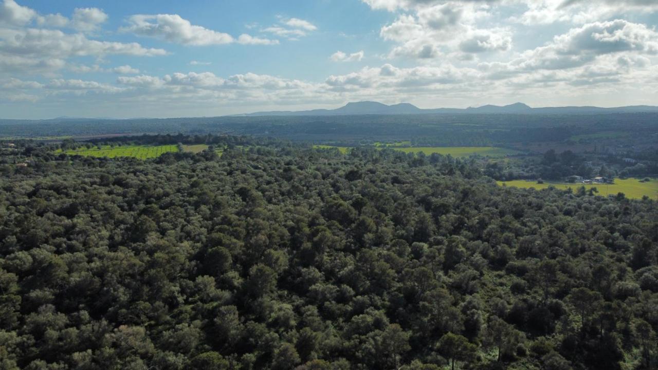 Magnifica Villa Tranquila En El Centro De Mallorca Biniali  Buitenkant foto